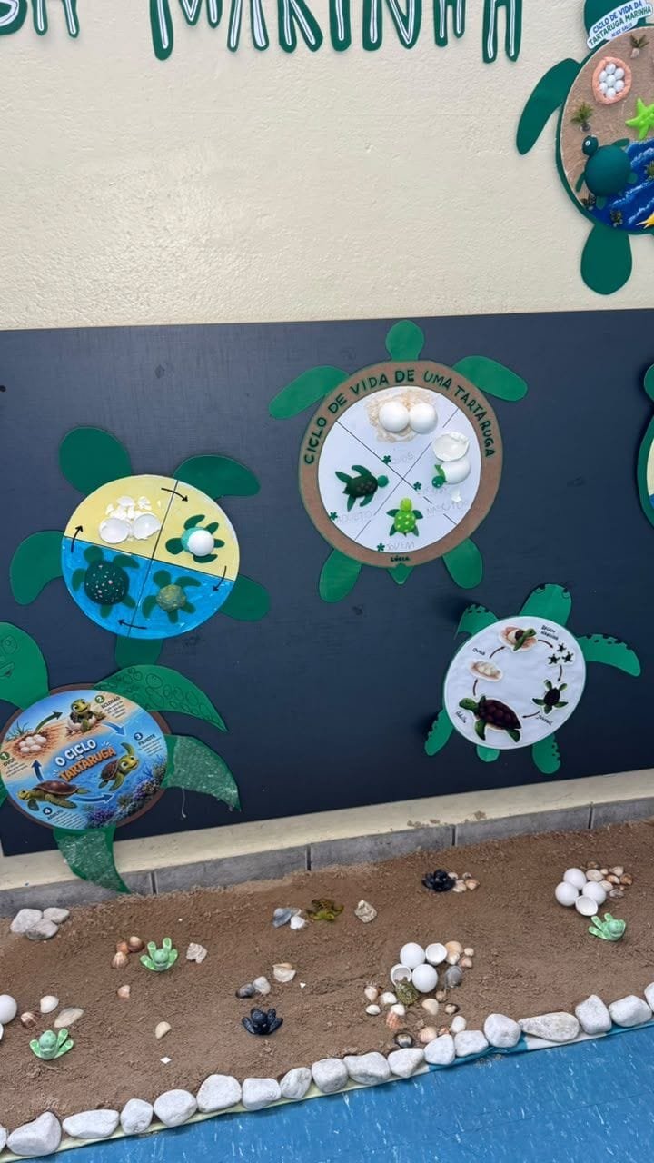 Painel com o ciclo de vida de uma tartaruga marinha e cantinho de areia com conchas