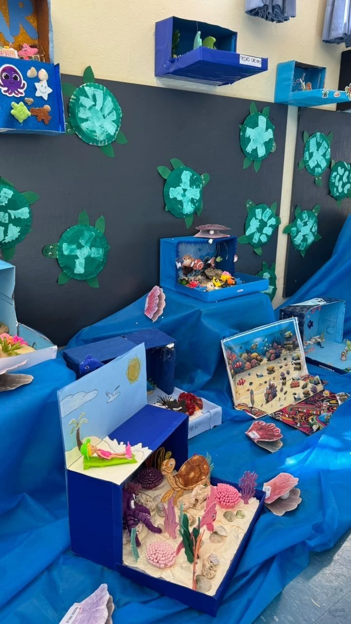 Maquetes de fundo do mar dentro de caixas e tartarugas de prato de papel na parede